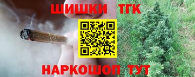 индика Усть-Джегута