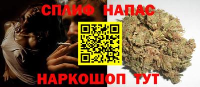индика Усть-Джегута