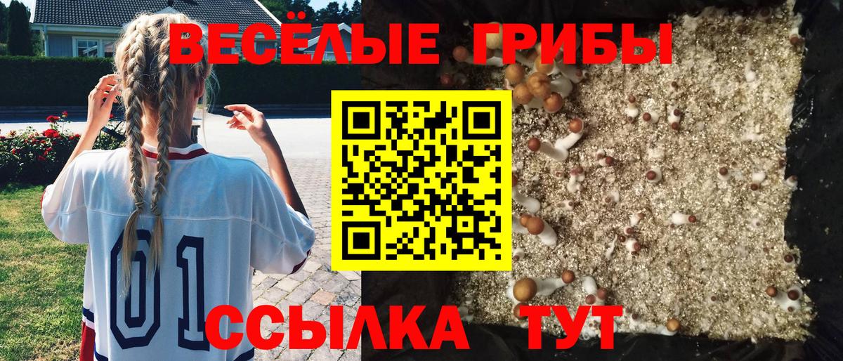 Галлюциногенные грибы MAGIC MUSHROOMS Тихорецк